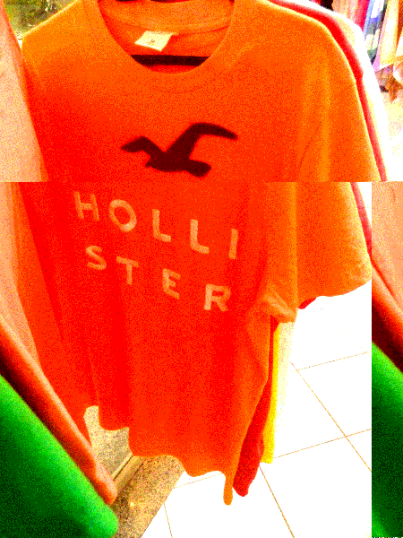 Camisas HOLLISTER 110% originais