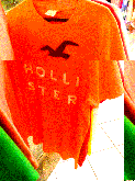 Camisas HOLLISTER 110% originais